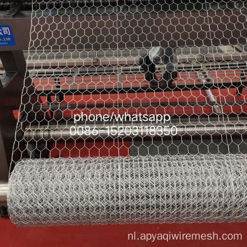PVC gecoate kippenhok zeshoekige draadgaas